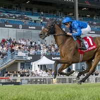 Master of the Seas at Woodbine (Photo by Michael Burns Photography)
