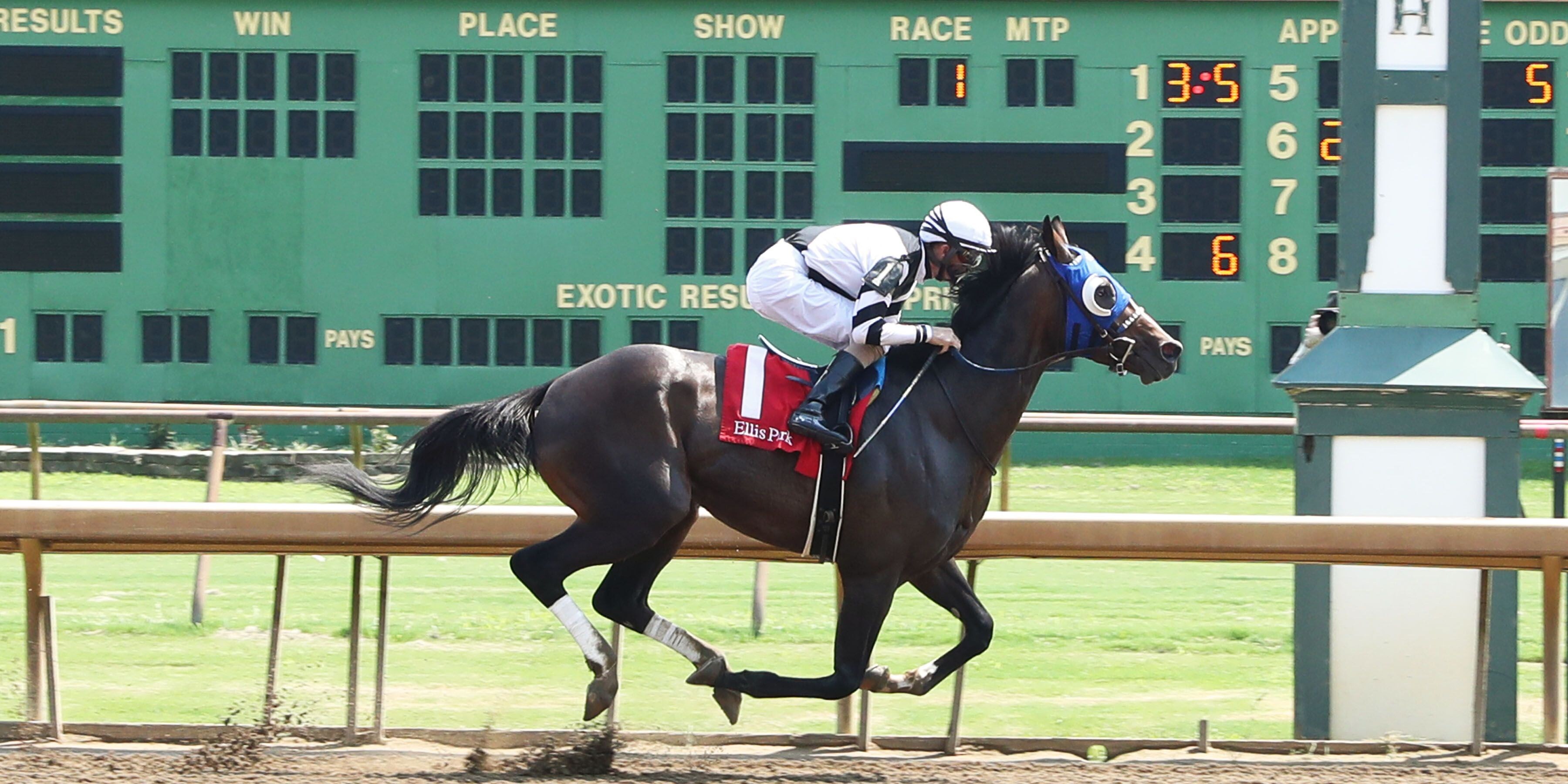Maximum Promise wins at Ellis Park.