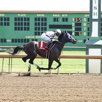 Maximum Promise wins at Ellis Park.