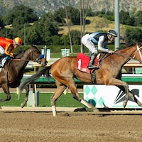 Meaning outlasts 4-5 favorite Explora in the Las Virgenes