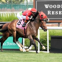 Mercante wins the Arlington Stakes at Churchill Downs. 