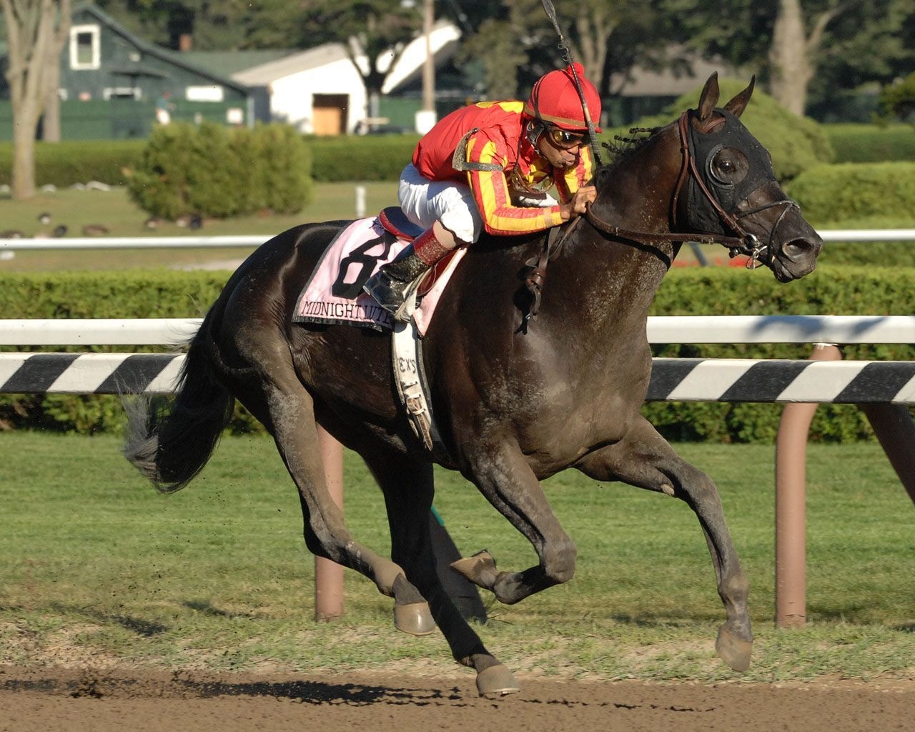 Midnight Lute wins the 2007 Forego (G1). (Photo by Coglianese Photos)