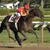 Midnight Lute wins the 2007 Forego (G1). (Photo by Coglianese Photos)