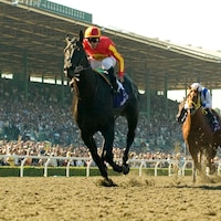 Midnight Lute winning the 2008 Breeders' Cup Sprint (G1) at Santa Anita (Photo by Benoit Photography)