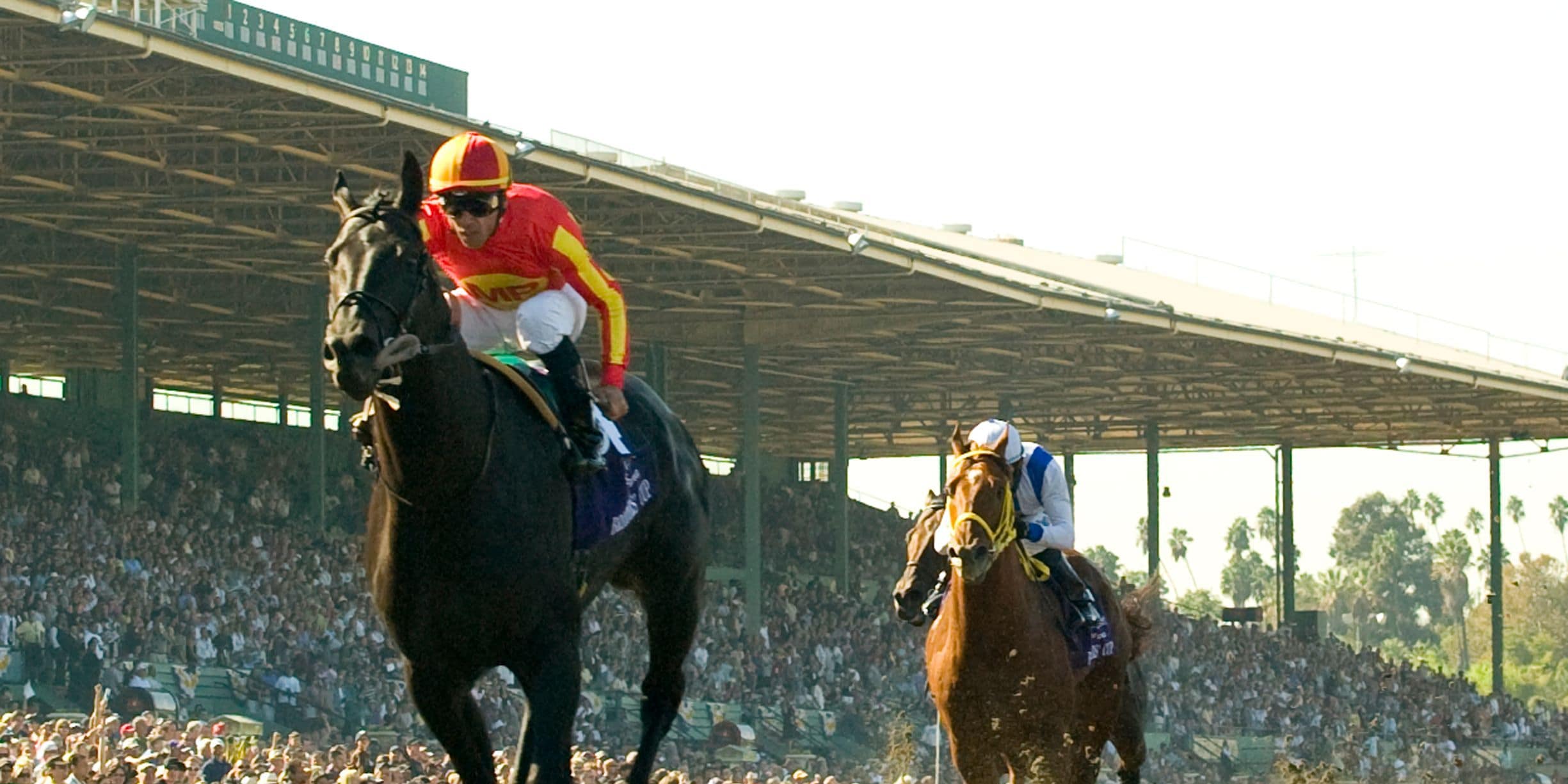 Midnight Lute winning the 2008 Breeders' Cup Sprint (G1) at Santa Anita (Photo by Benoit Photography)