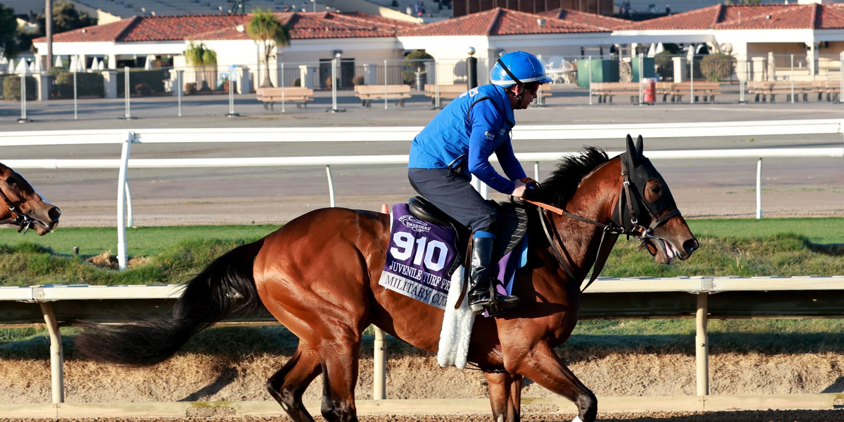 Military Code trains for the 2025 Breeders' Cup at Del Mar (Photo by Horsephotos.com)