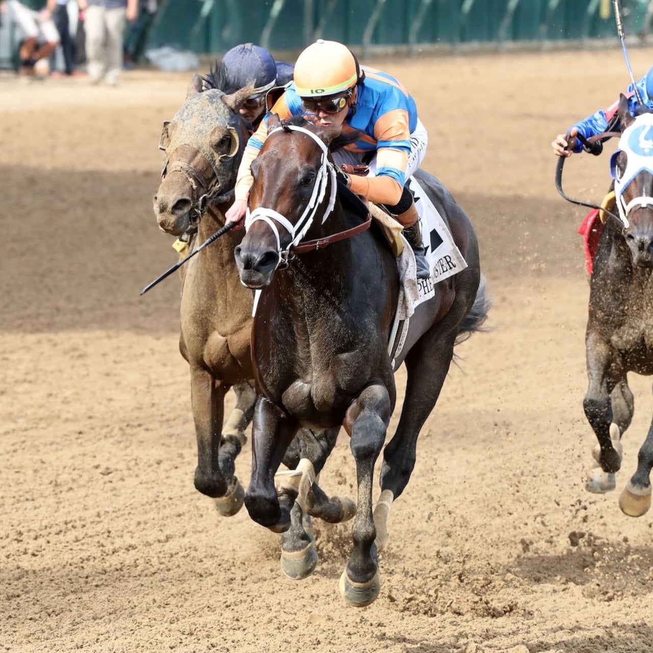 Mindframe wins the Stephen Foster Stakes at Churchill Downs.