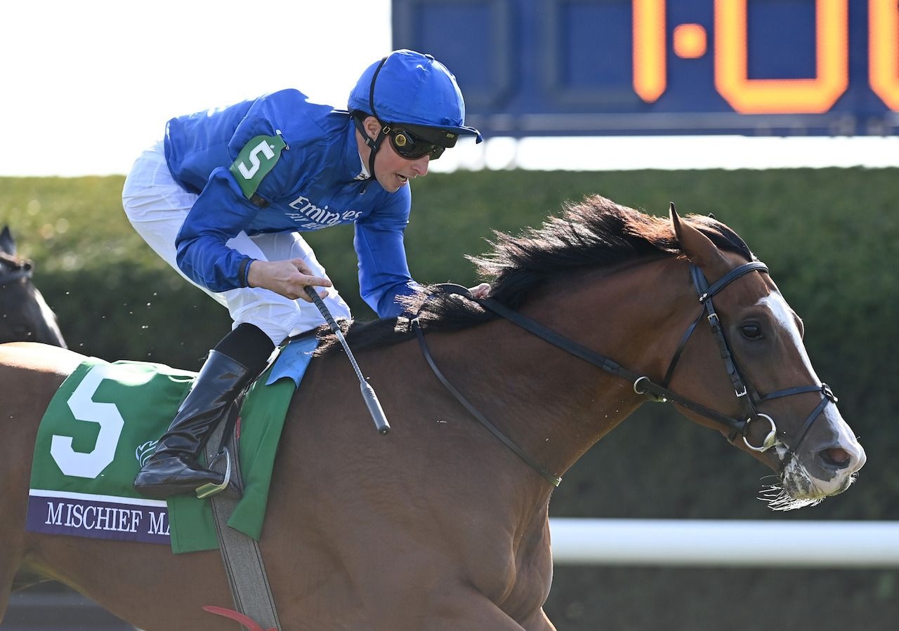 Mischief Magic wins the Breeders' Cup Juvenile Turf Sprint at Del Ma