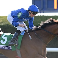 Mischief Magic wins the Breeders' Cup Juvenile Turf Sprint at Del Ma