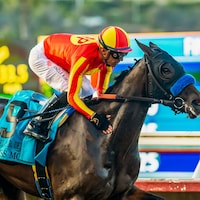 Del Mar Debutante (G1) romper Miss Monica gets a congratulatory pat from jockey Juan Hernandez