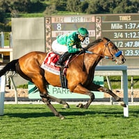 Missed the Cut wins the San Marcos Stakes at Santa Anita. 