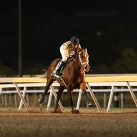 Mister Omaha wins the Oklahoma Classics Juvenile S. 2024 (Photo by Dustin Orona/Remington Park)