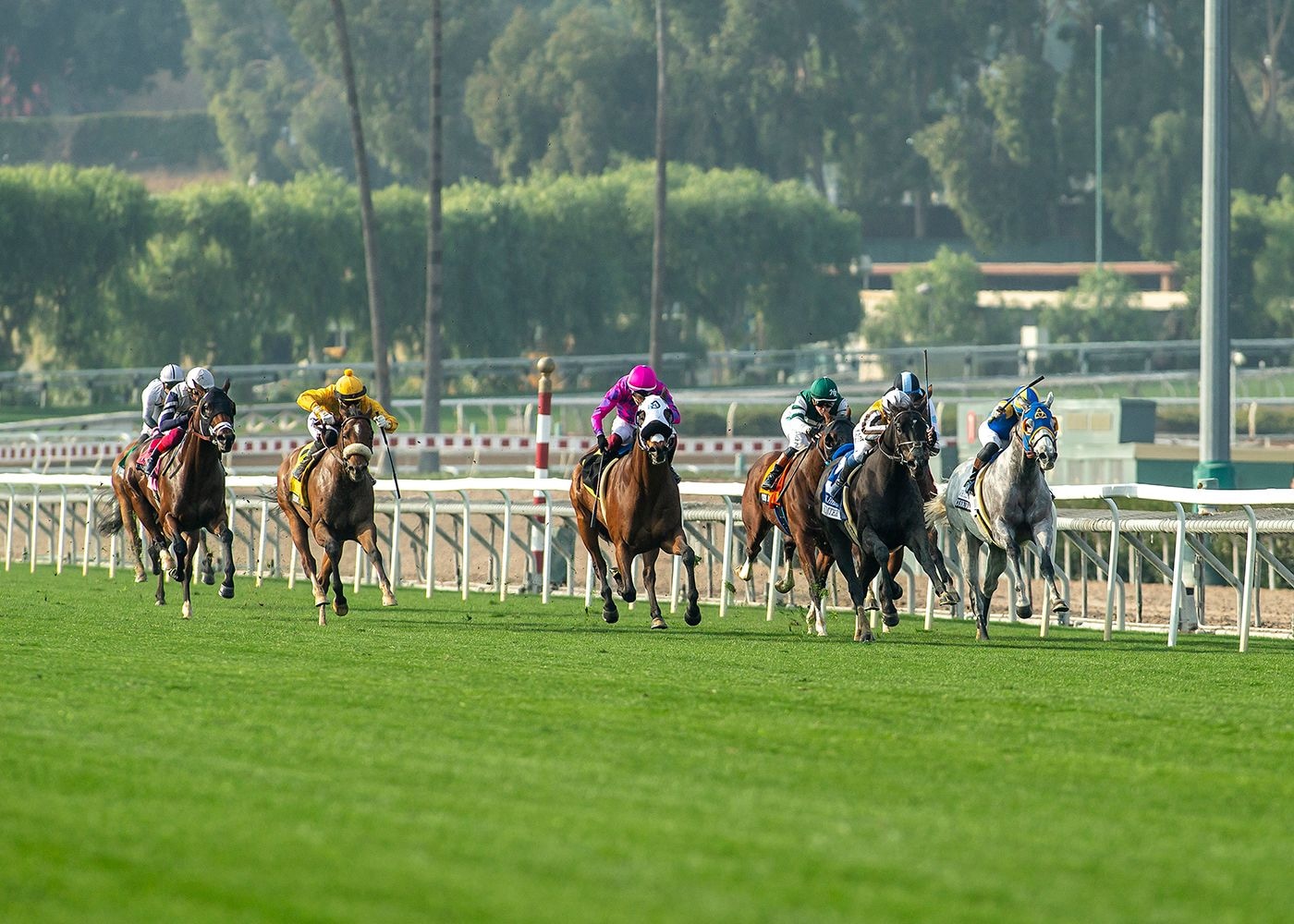 Motorious winning the 2024 Joe Hernandez (G2)