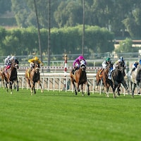 Motorious winning the 2024 Joe Hernandez (G2)