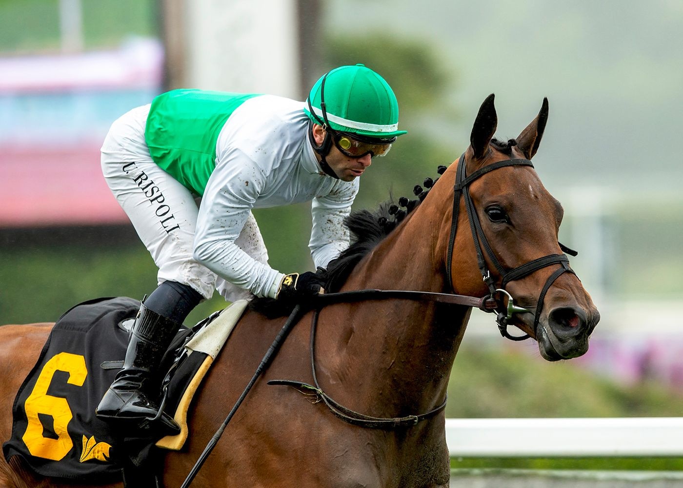 Mrs. Astor wins the Santa Barbara Stakes at Santa Anita.