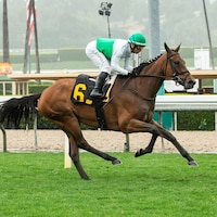 Mrs. Astor wins the Santa Barbara Stakes at Santa Anita.