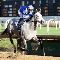 Muhimma wins at Churchill Downs.