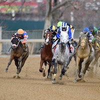Muhimma (gray) leads Ballerina d'Oro (blinkers, inside) into the homestretch of the Demoiselle (G2) at Aqueduct