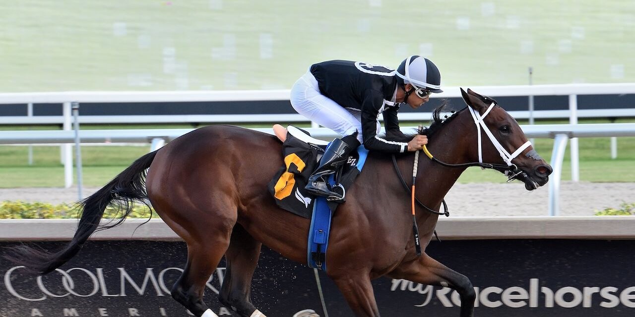 My Miss Mo wions at Gulfstream Park.