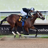 My Miss Mo wions at Gulfstream Park.