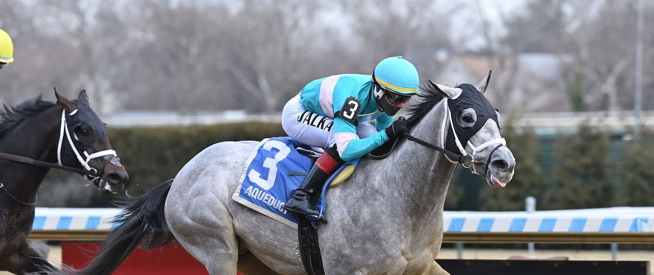 My World wins the Jerome Stakes at Aqueduct.