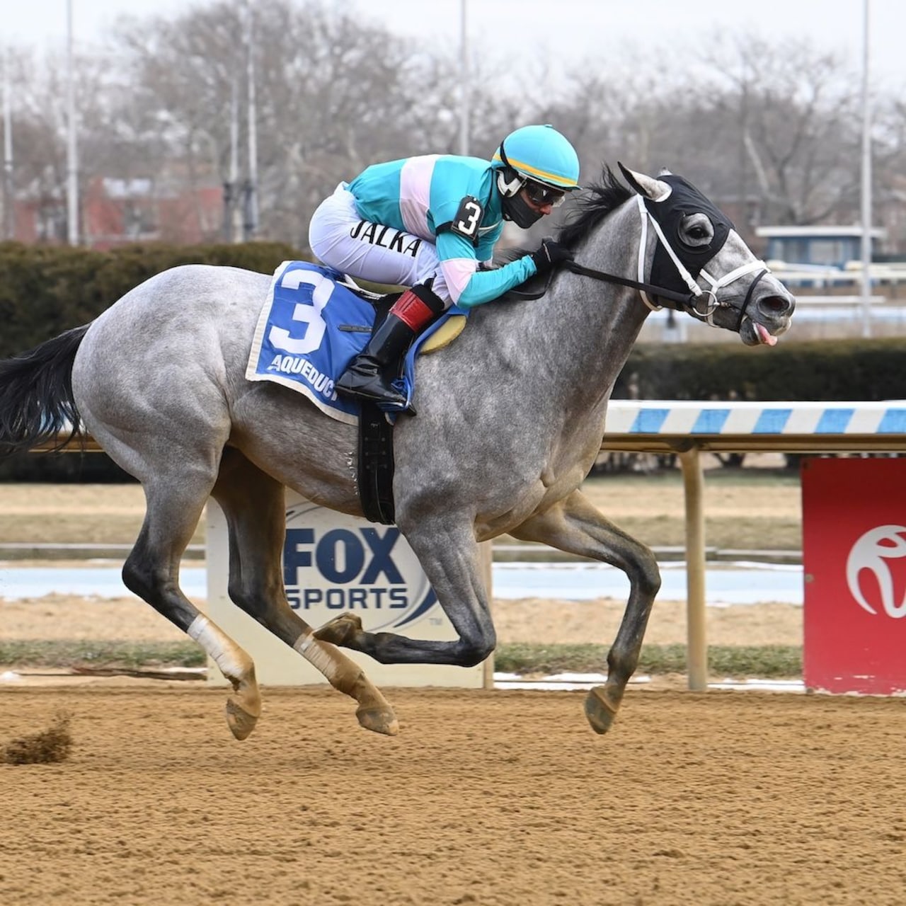 My World wins the Jerome Stakes at Aqueduct.