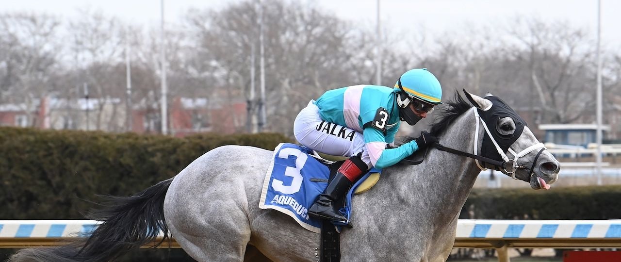 My World wins the Jerome Stakes at Aqueduct.