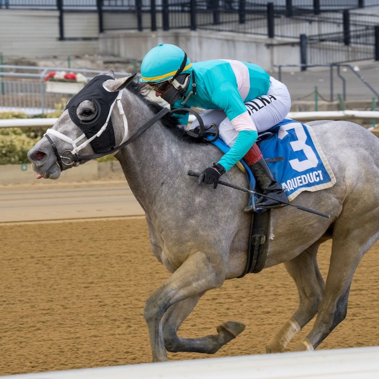 My World wins the Jerome Stakes at Aqueduct.