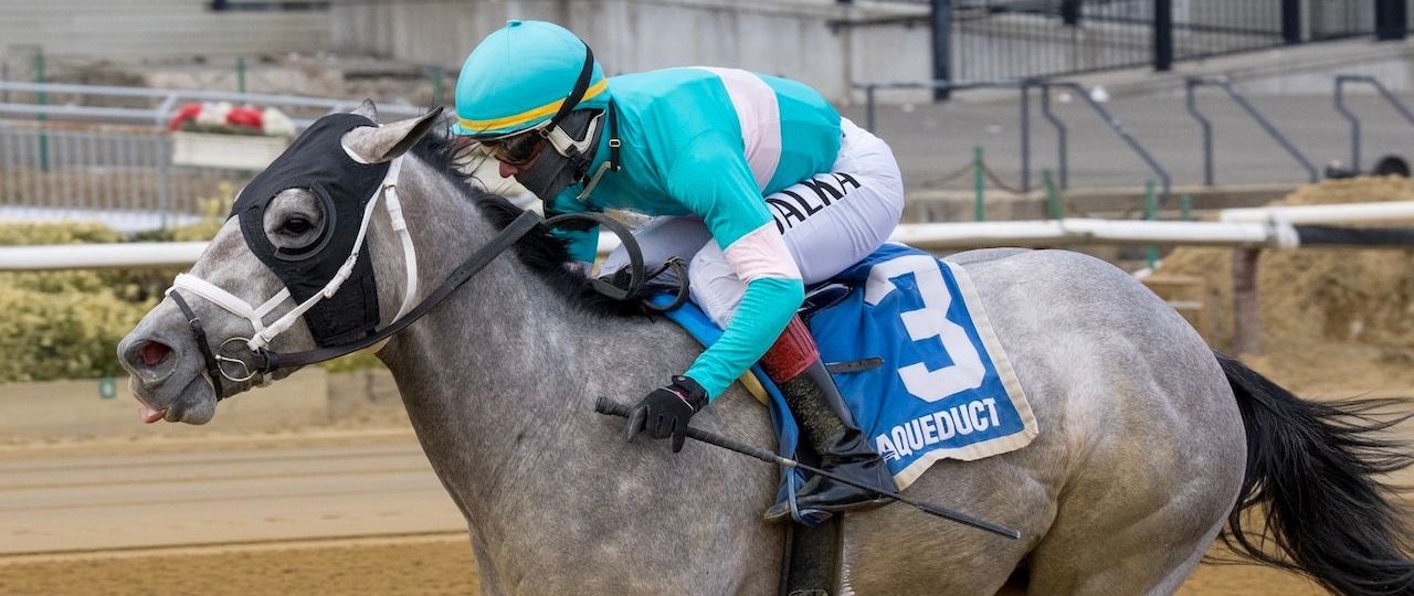 My World wins the Jerome Stakes at Aqueduct.