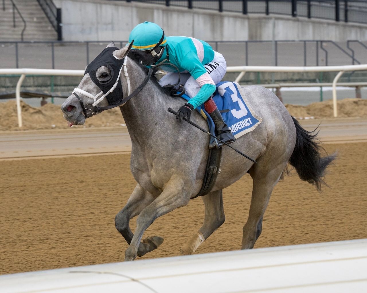 My World wins the Jerome Stakes at Aqueduct.
