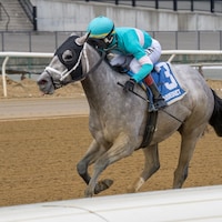 My World wins the Jerome Stakes at Aqueduct.