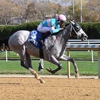 My World wins the Nashua Stakes at Belmont at the A.