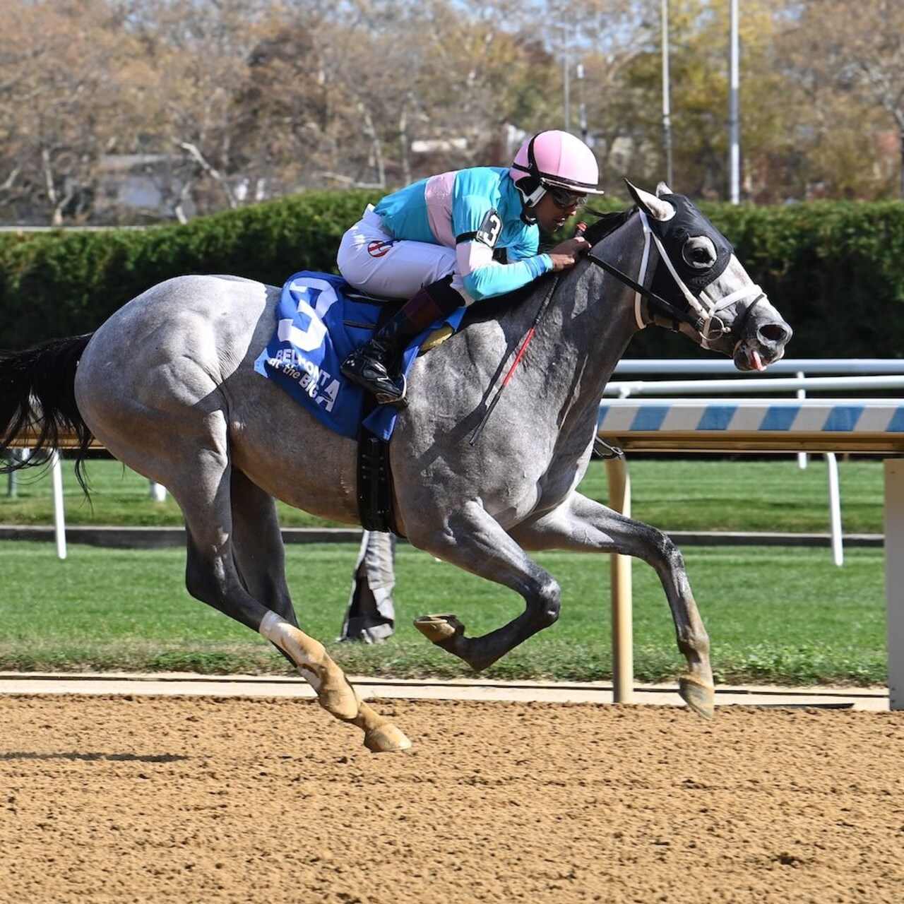 My World wins the Nashua Stakes at Belmont at the A.