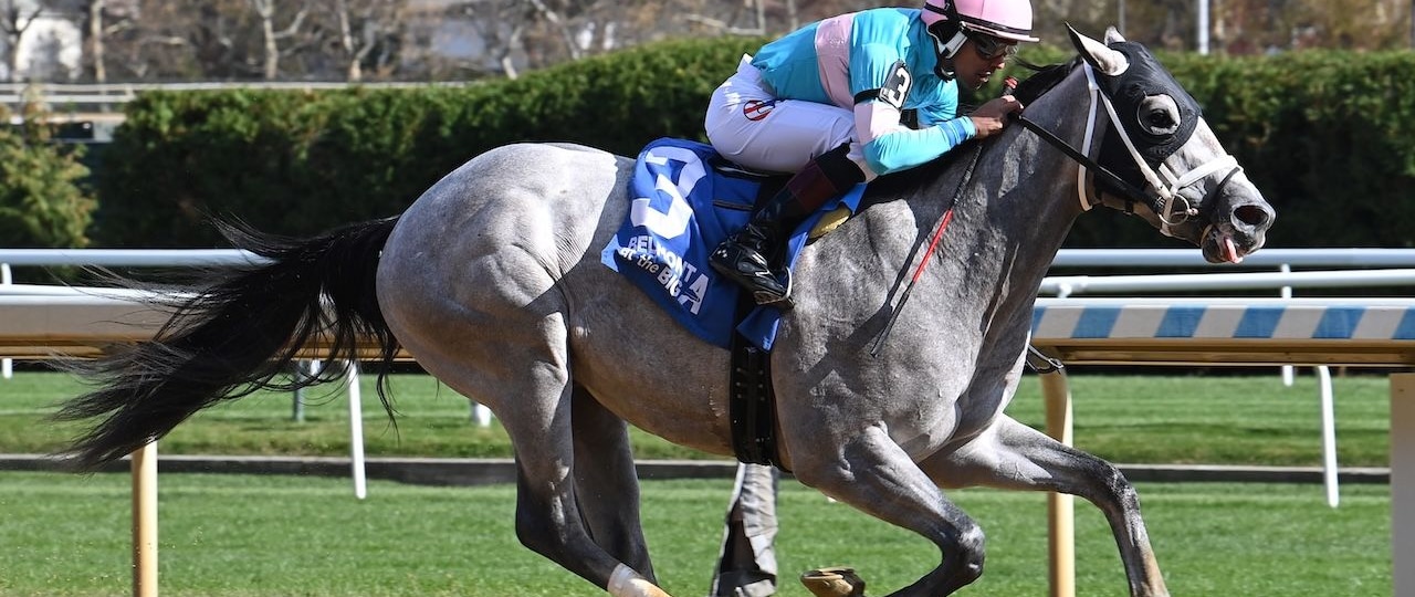 My World wins the Nashua Stakes at Belmont at the A.