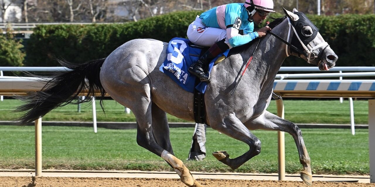 My World wins the Nashua Stakes at Belmont at the A.