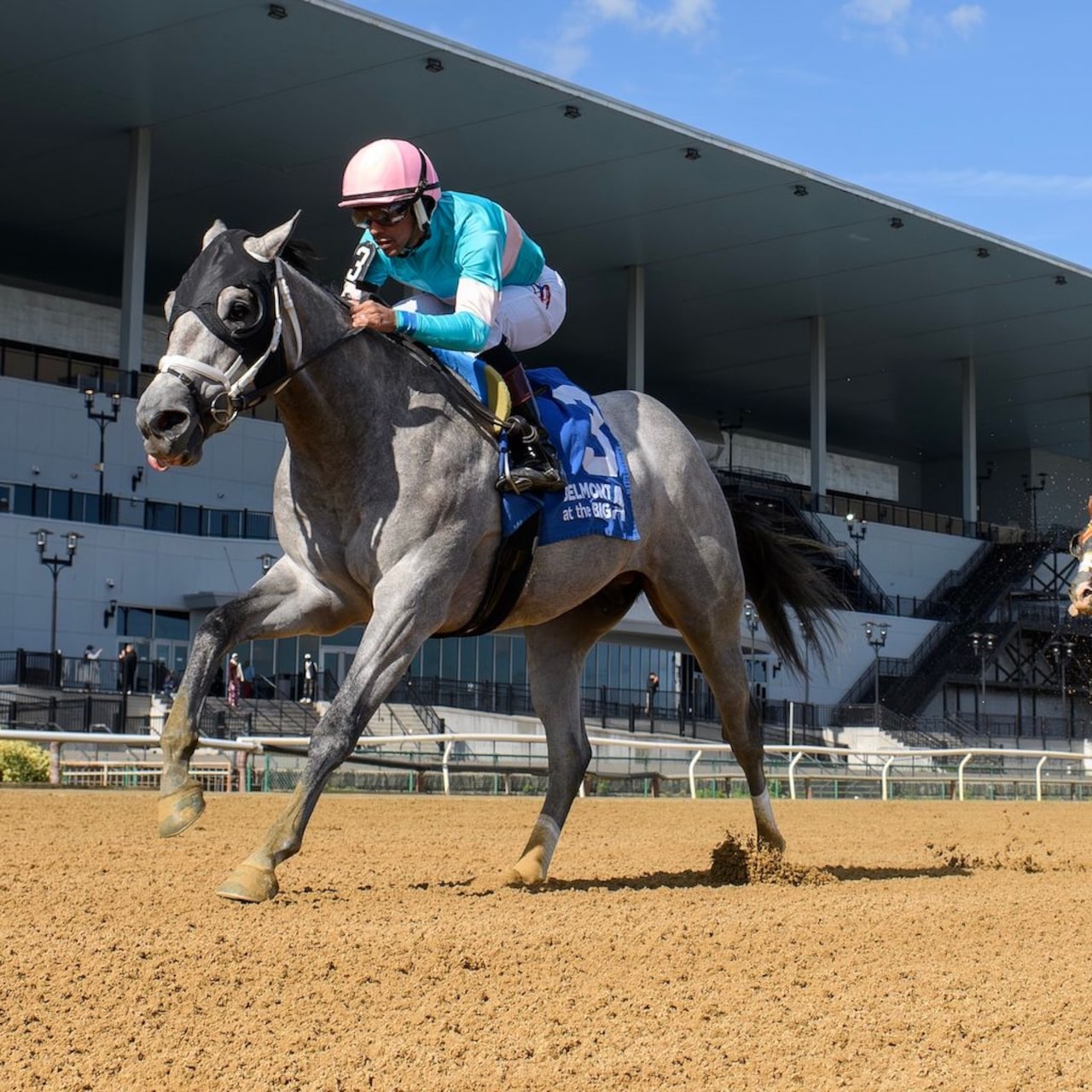My World wins the Nashua Stakes at Belmont at the A.
