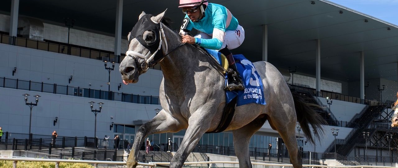 My World wins the Nashua Stakes at Belmont at the A.