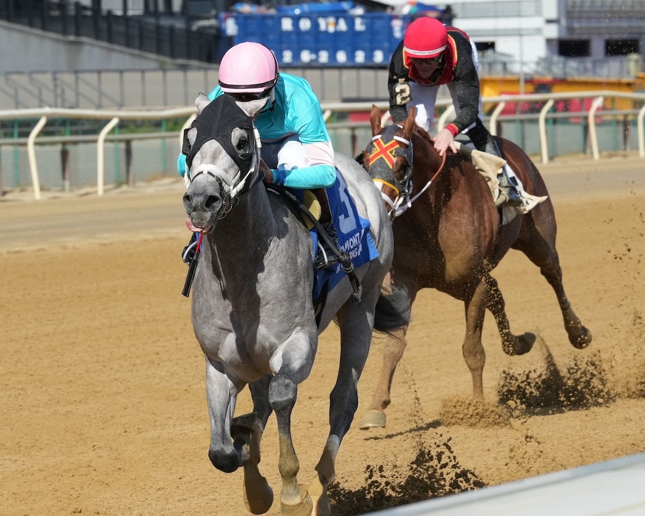 My World wins the Nashua Stakes at Aqueduct