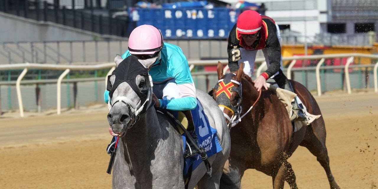 My World wins the Nashua Stakes at Aqueduct