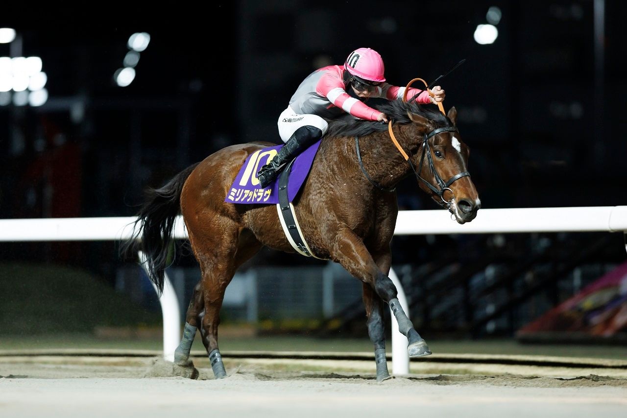 Myriad Love winning the Zen-Nippon Nisai Yushun (Photo courtesy of Ken Hashimoto)