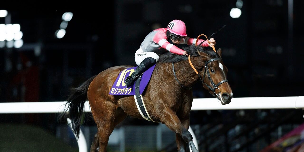 Myriad Love winning the Zen-Nippon Nisai Yushun (Photo courtesy of Ken Hashimoto)