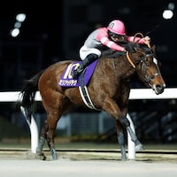 Myriad Love winning the Zen-Nippon Nisai Yushun (Photo courtesy of Ken Hashimoto)