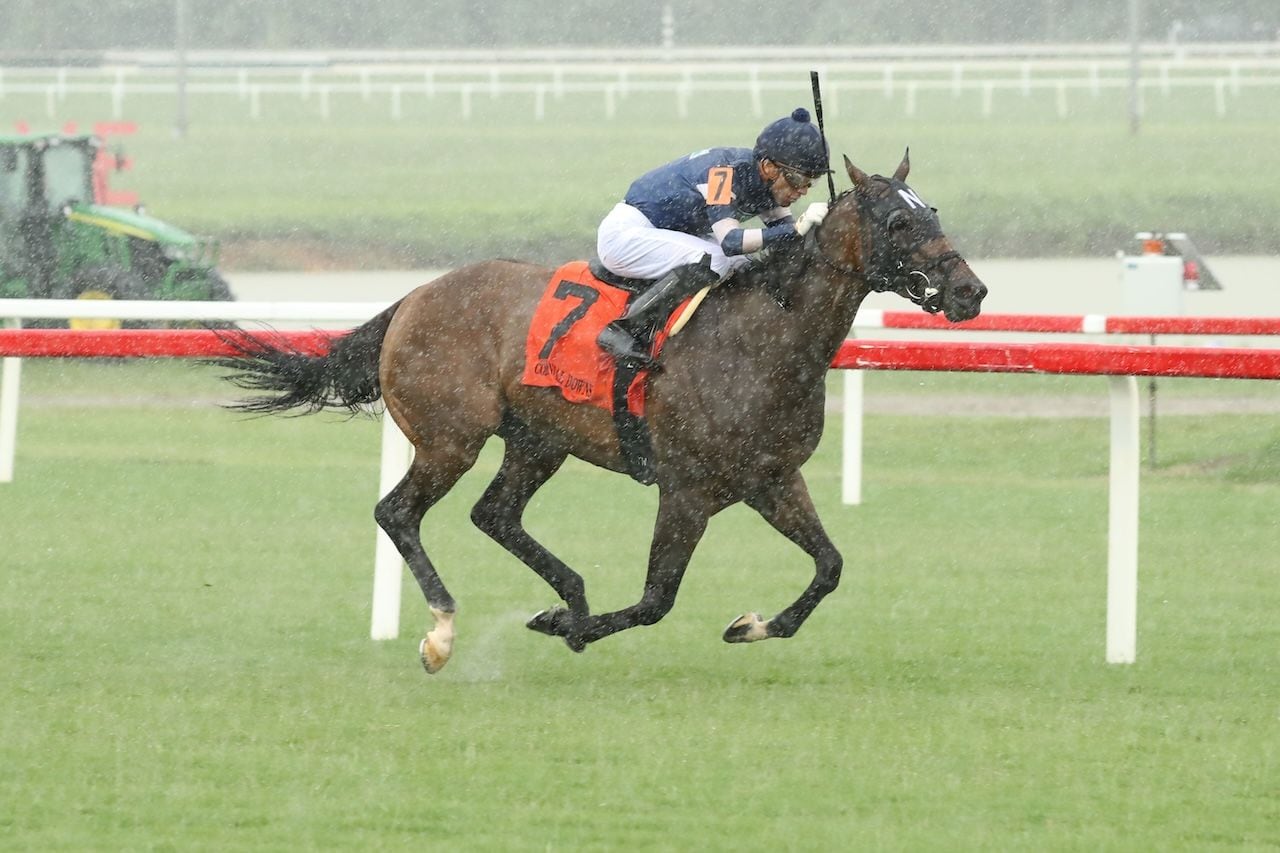 Mystic Seaport wins the Tyson Gilipin Glen Petty Stakes at Colonial Downs.