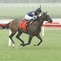 Mystic Seaport wins the Tyson Gilipin Glen Petty Stakes at Colonial Downs. 