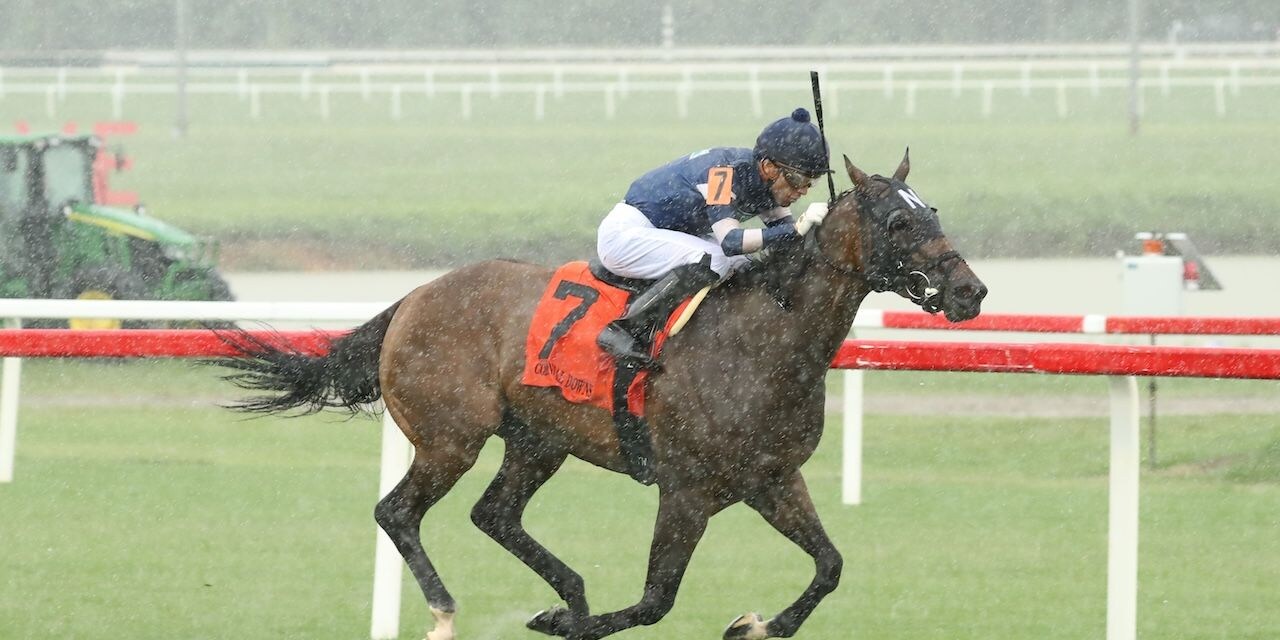 Mystic Seaport wins the Tyson Gilipin Glen Petty Stakes at Colonial Downs.