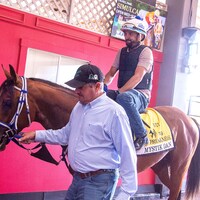 Mystik Dan (Photo by Jim McCue/Maryland Jockey Club)