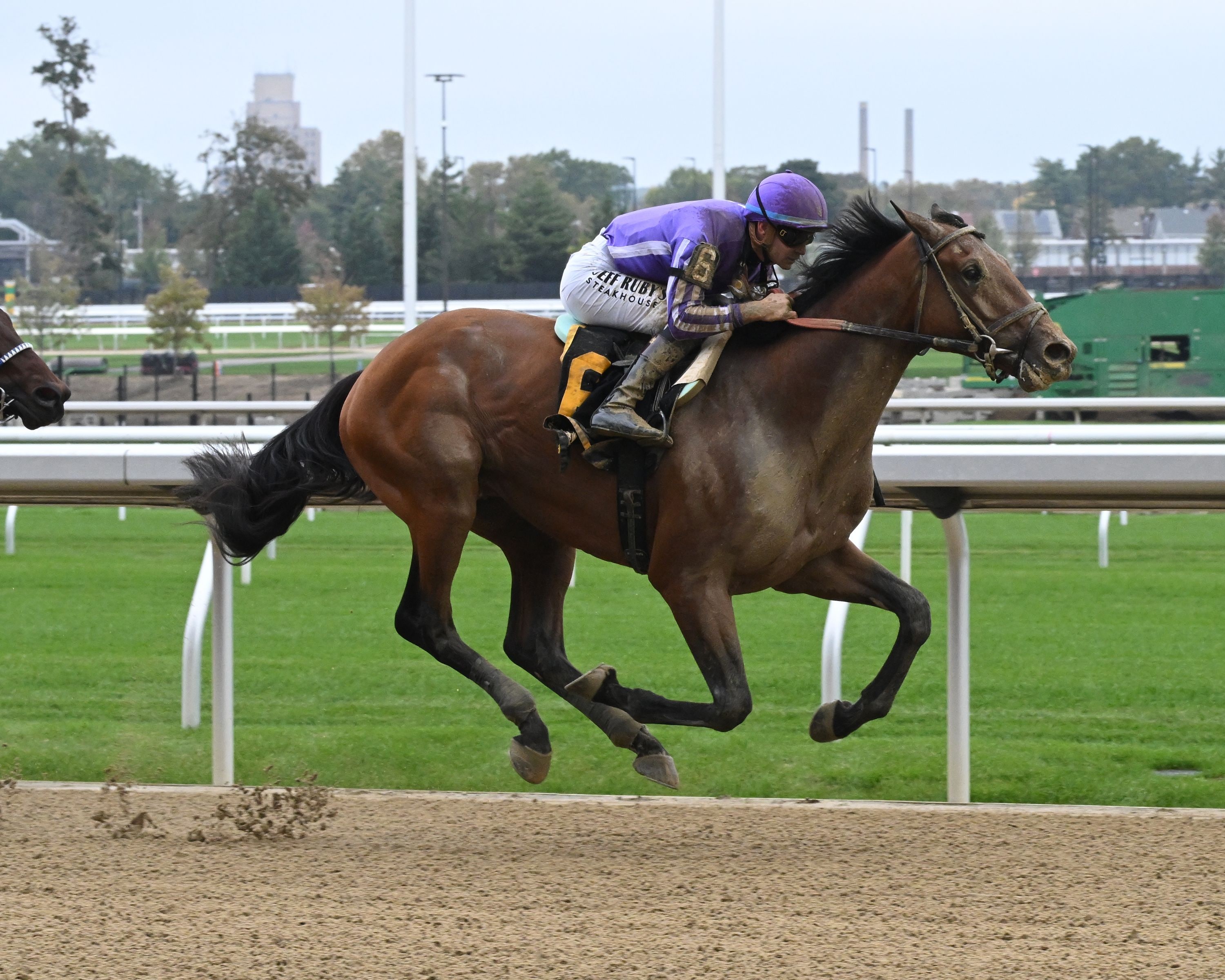Nevada breaks his maiden at Belmont Park.