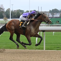 Nevada breaks his maiden at Belmont Park.