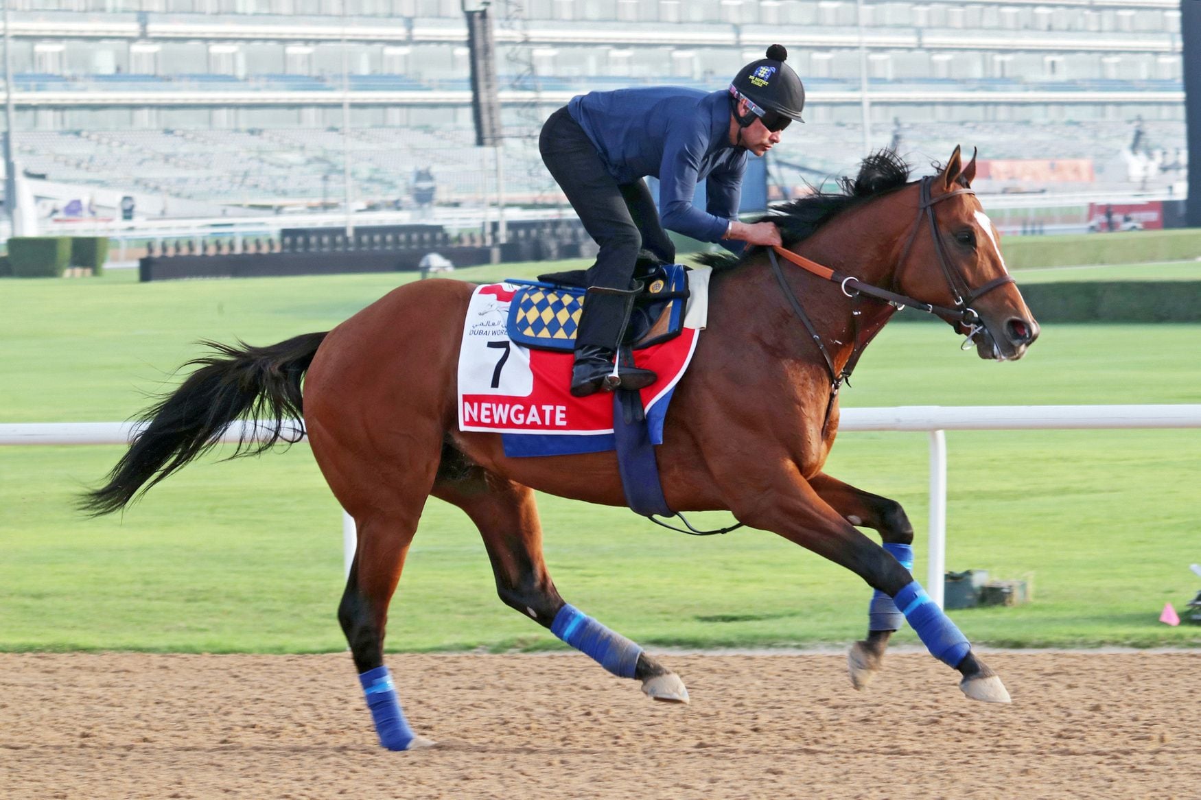 Newgate (Photo by Horsephotos.com)