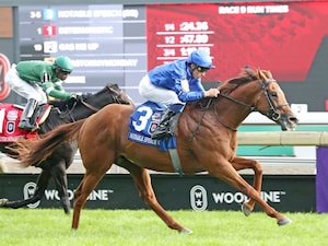 Notable Speech defends his title in the Woodbine Mile (G1)